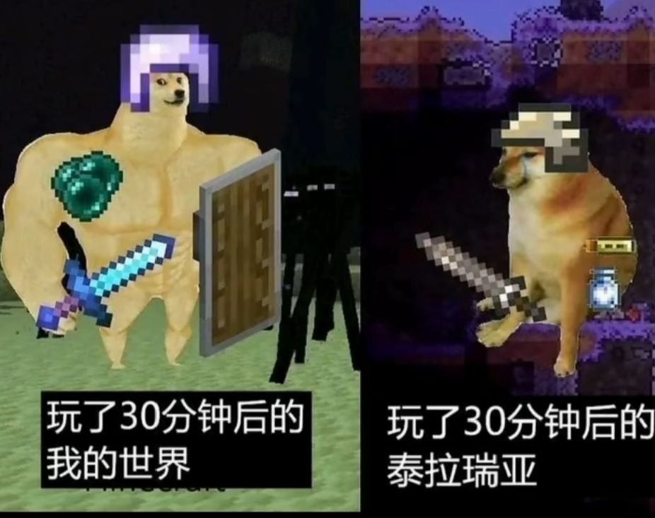 泰拉梗图 2 2