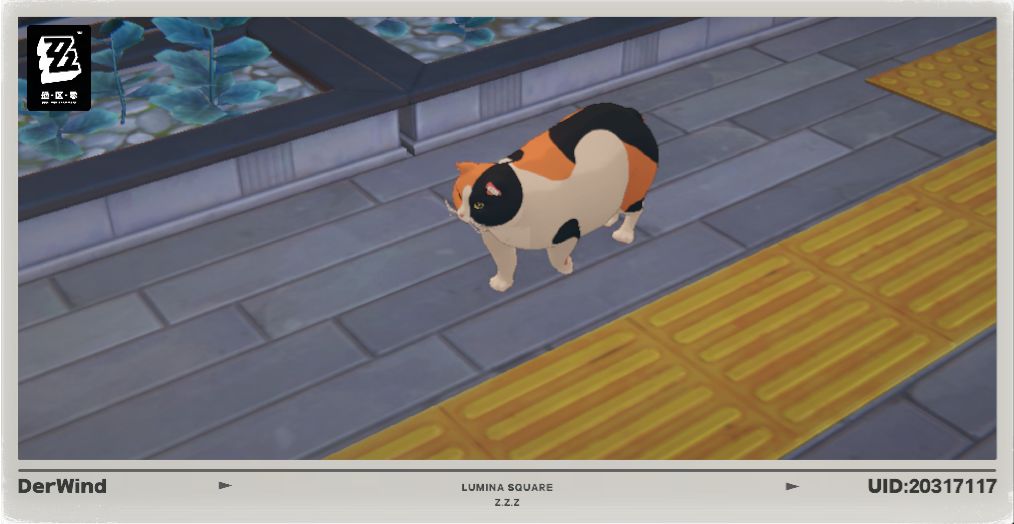 绝区零猫 4