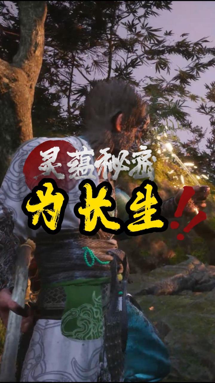 《黑神话悟空》中的灵蕴可不仅仅是货币 里面可能藏着长生的秘密截图