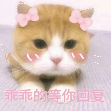 【每周话题】急流勇退还是一往无前，你更看重的是修行还是道侣？