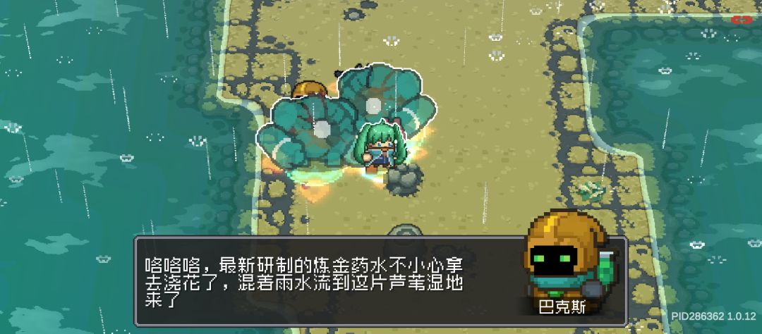 感谢我巴哥送来的两背包青蛙 1