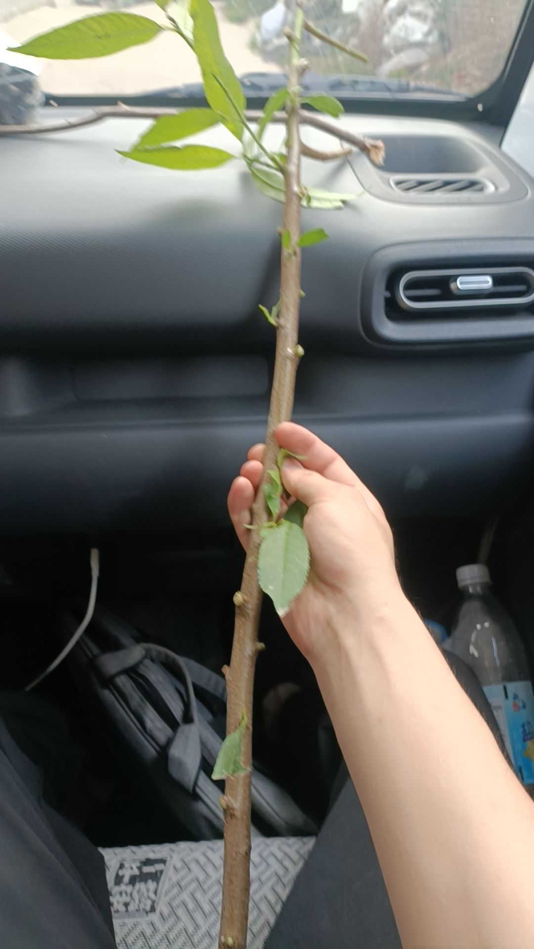 一粒米大于须弥山,珍惜点滴,瞬间可贵 2