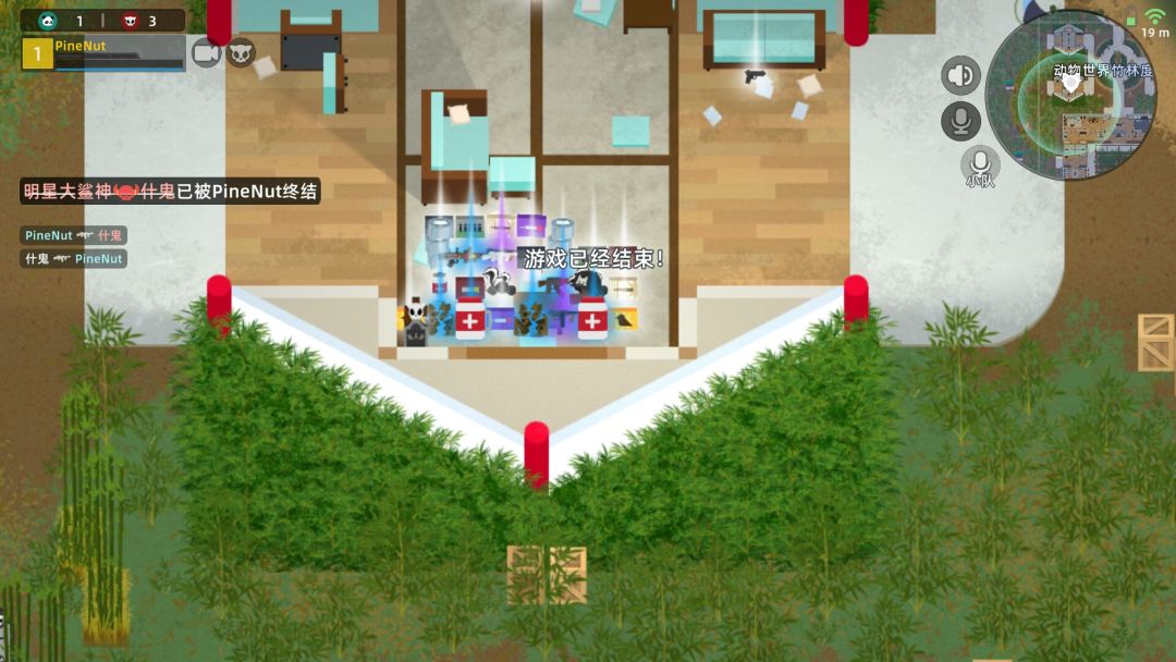 动态图片 3