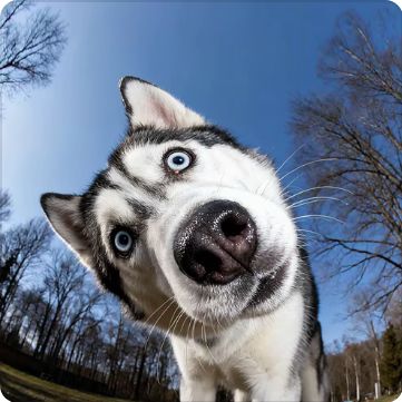 我要验牌！！！截图
