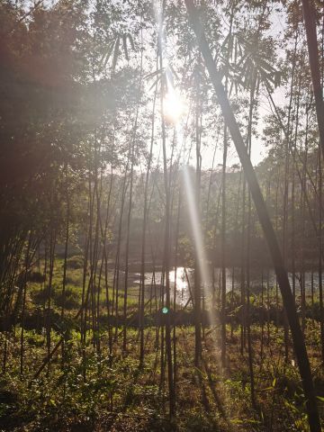 更新个人建议，2年游玩纪念