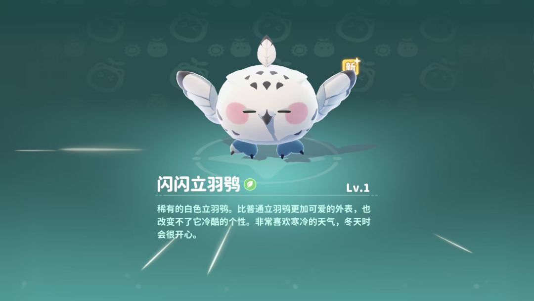 第一只就出闪,没想到也能发生在我身上 1