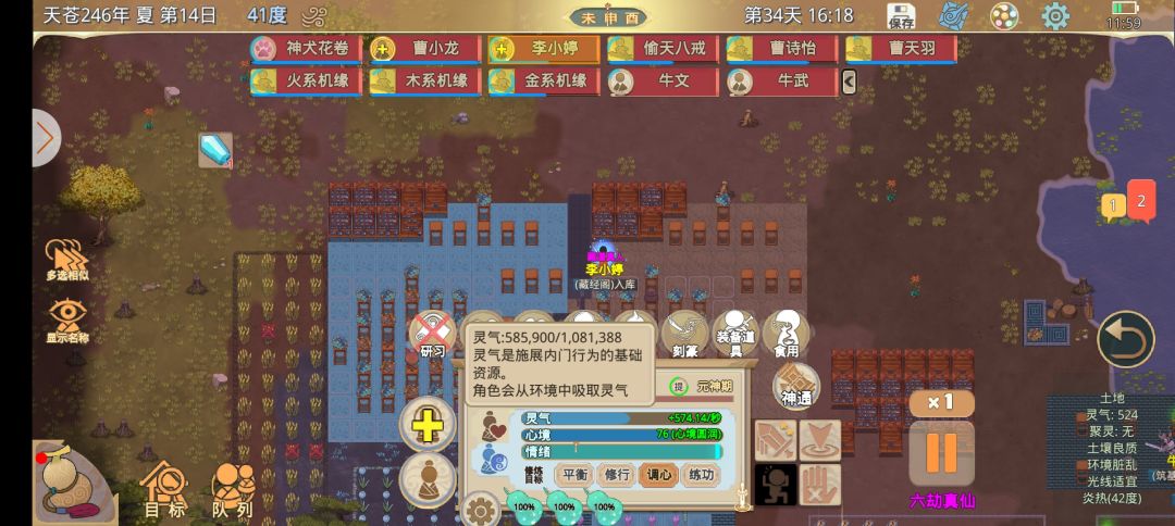这个秘宝性比价还可以 2