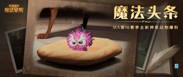 魔法头条丨要听听恶婆鸟宝宝的歌声吗？