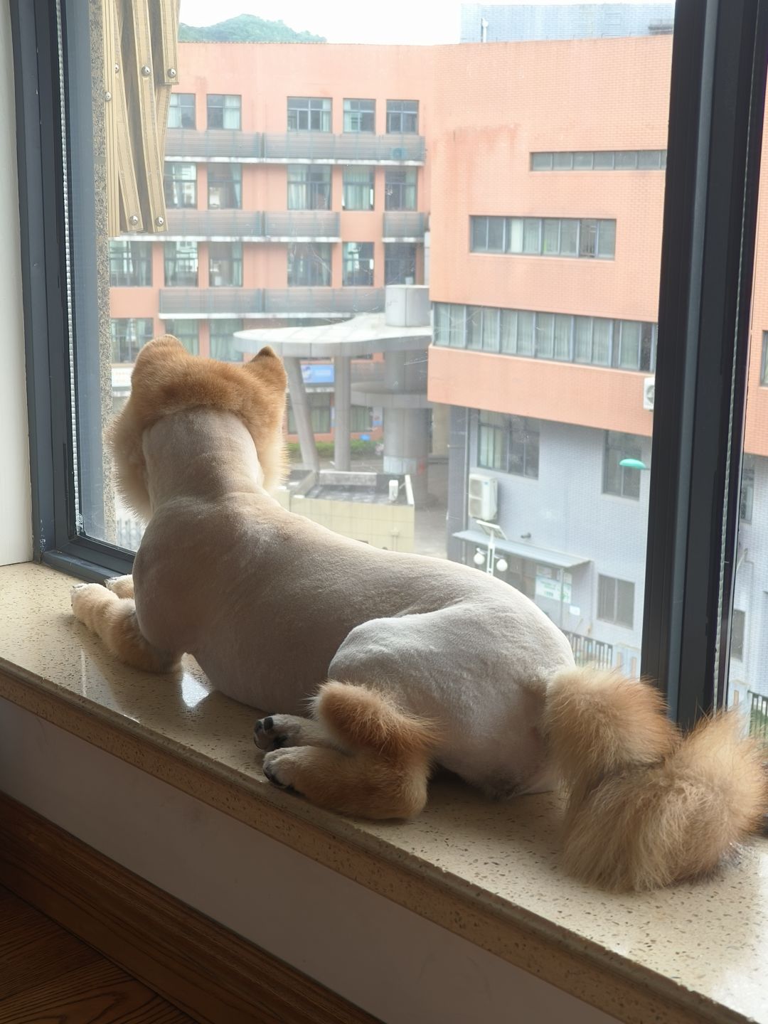 这毛发bug怎么还有 1