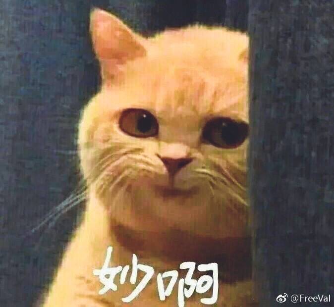 谜一样的更新么?截图