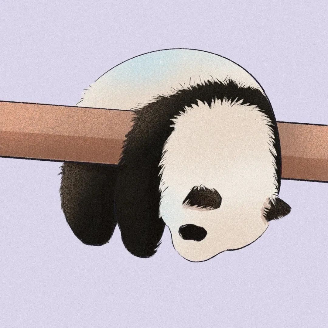 对测试的一些反馈 1