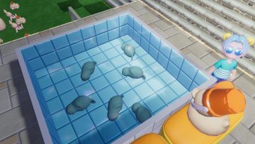 我家的宠物被我养死了