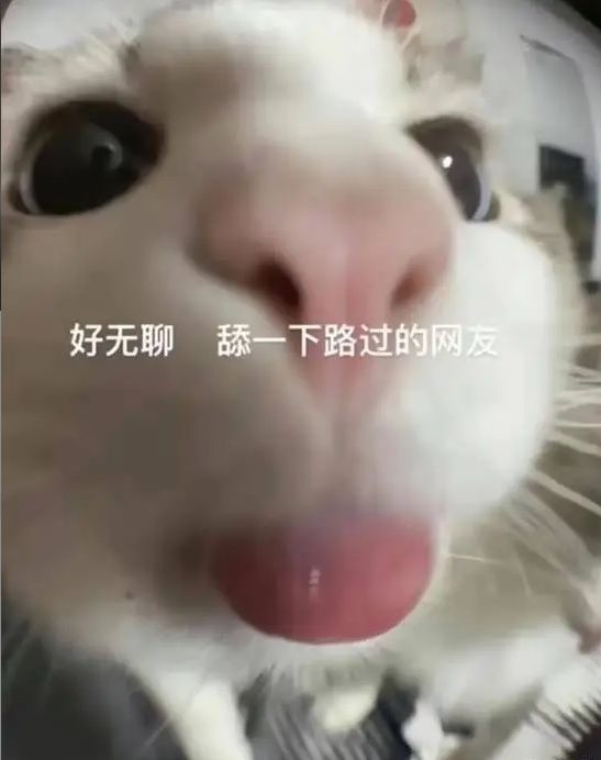 无聊的周中!来点炸裂的表情包啊家人们 1