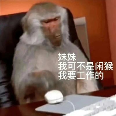 上班吗喽命也是命!表情包壁纸 2