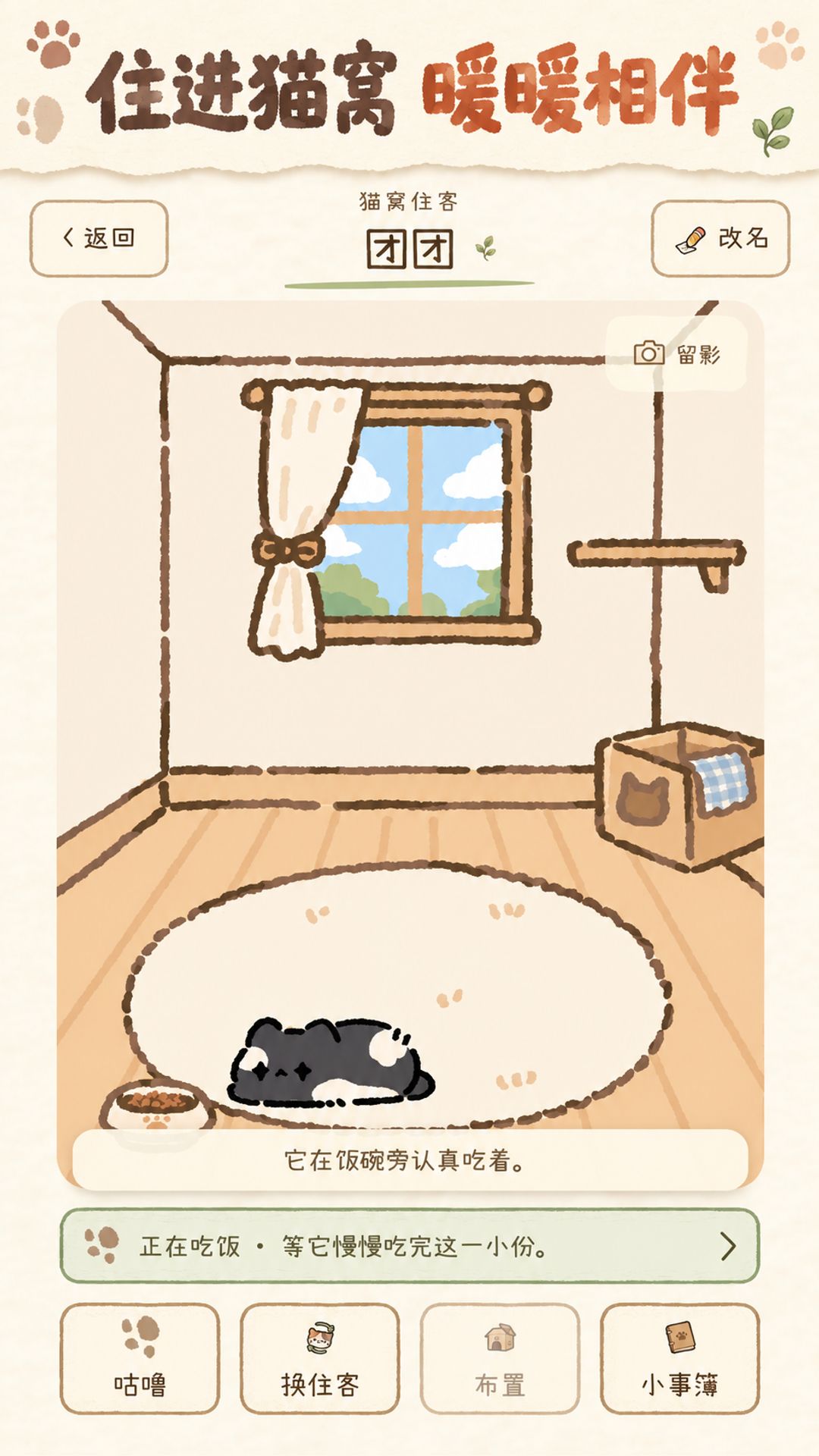 猫猫更新啦~ 5