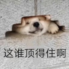 阿莱塔你要毁了这个家吗👿截图