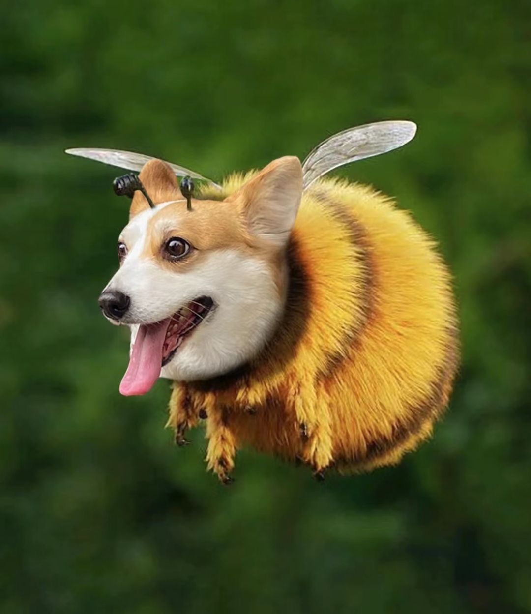 动态图片 1