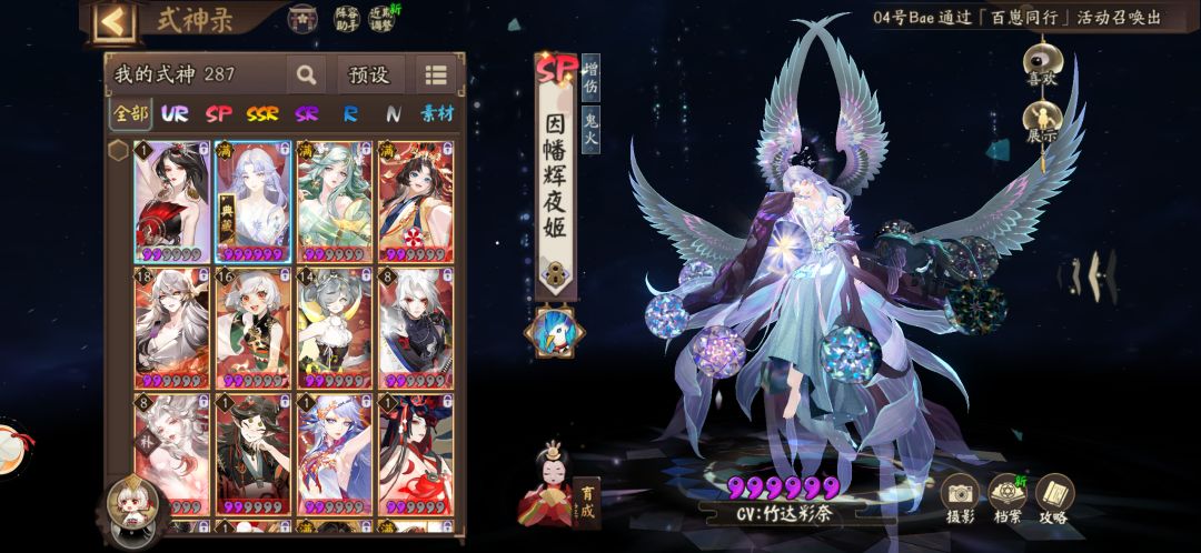 下一只养什么 2