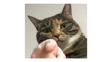 新手进游，老手搬砖攻略