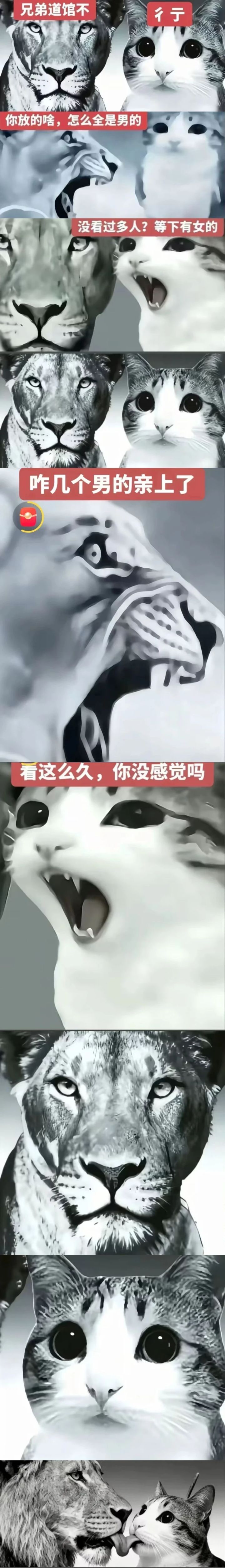 奥奇手游的真实情况到底是什么？截图