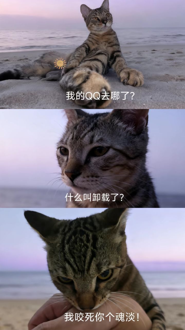 依旧启动截图