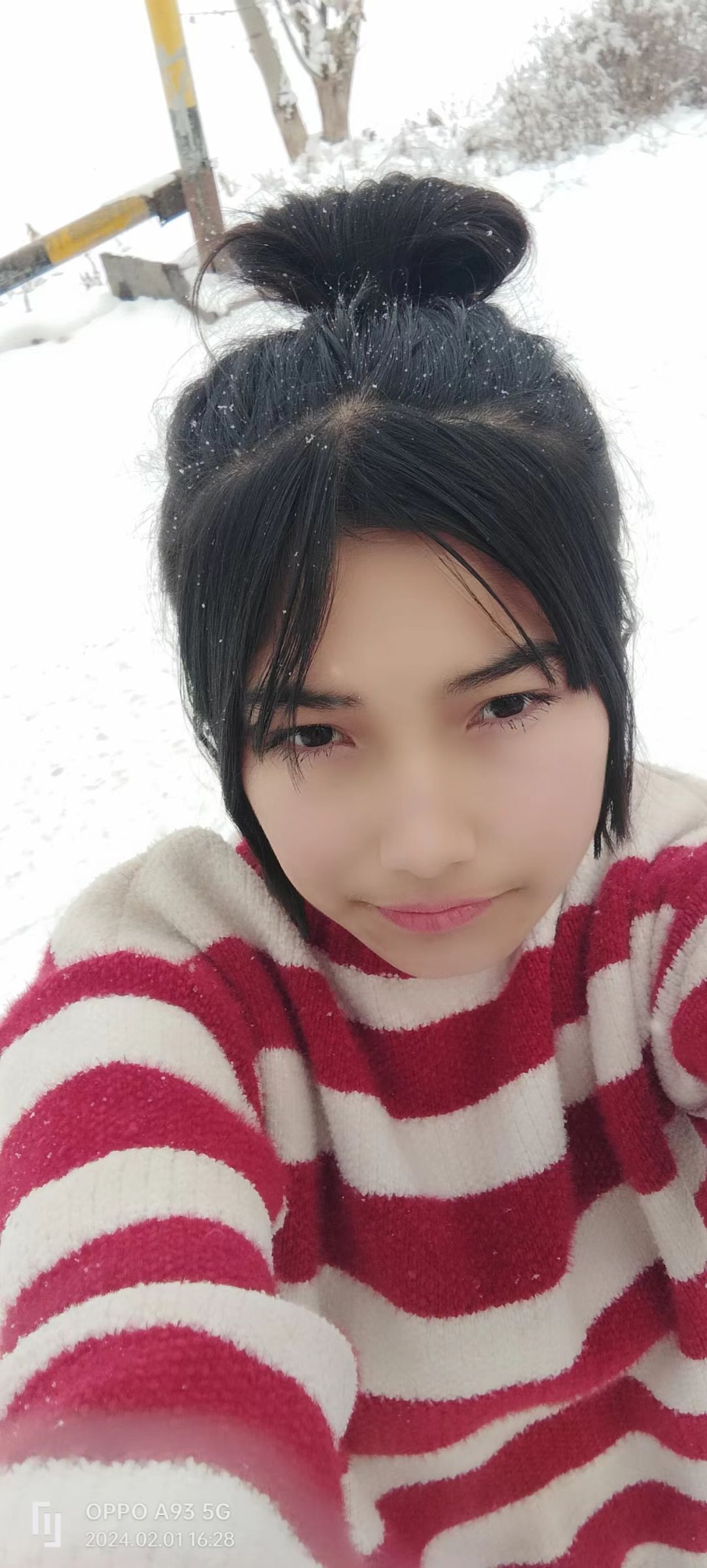 动态图片 5