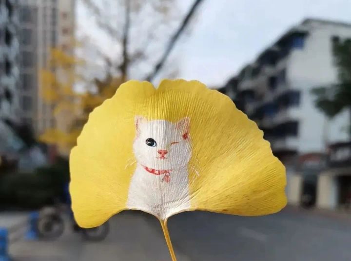 消极的认知偏差截图