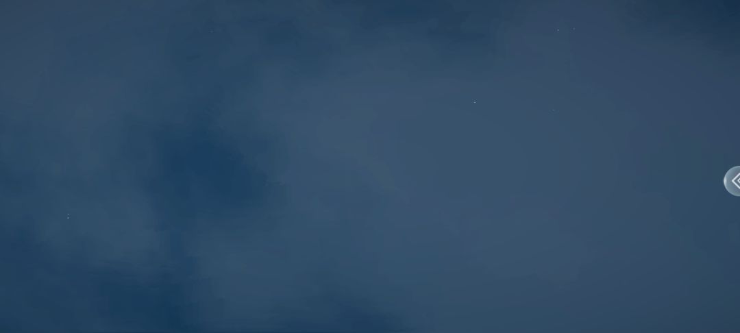 Bug 3