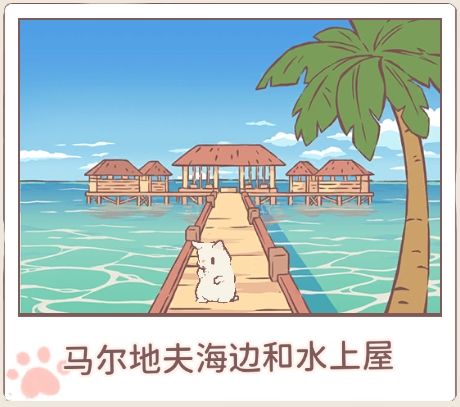 猫咪和汤 1