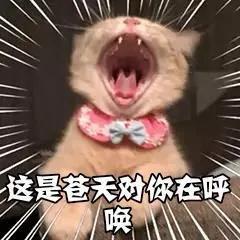 萌新公会战三步走