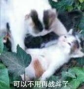 官方你说句话啊 1