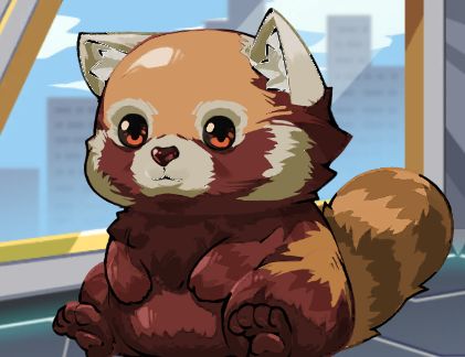 小熊猫攻略截图