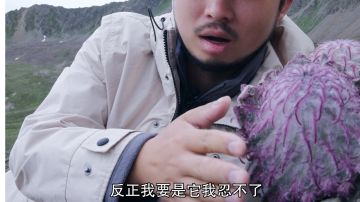 来自苍蝇王的氪佬周年庆通关指南