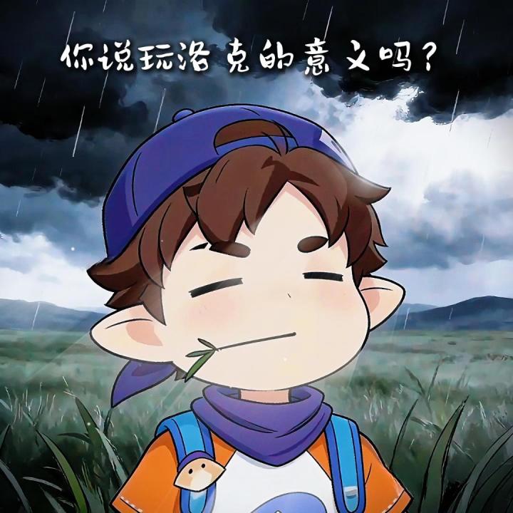 你说玩洛克的意义吗?截图