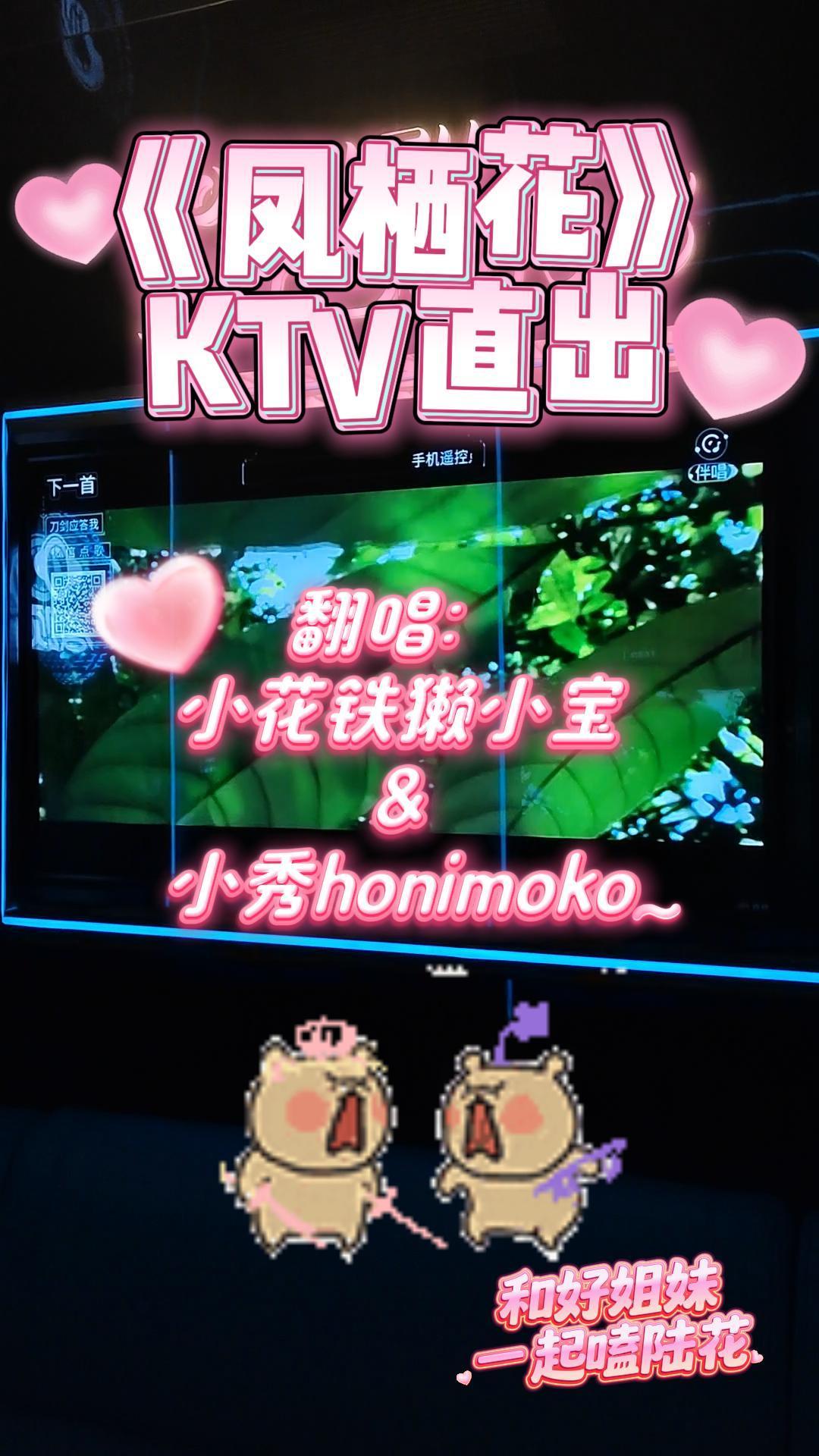 video-5677225