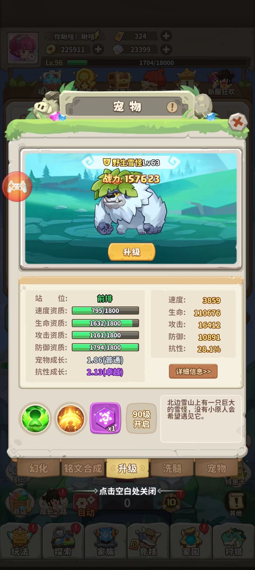 关于坐骑和宠物的新手指导 2