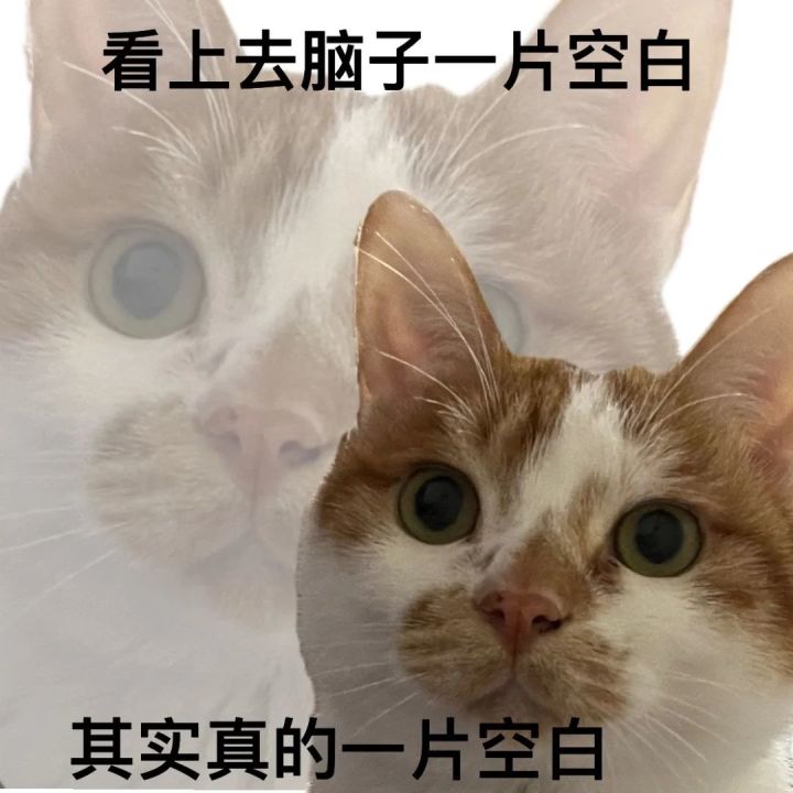 黄票和抽卡,救救截图