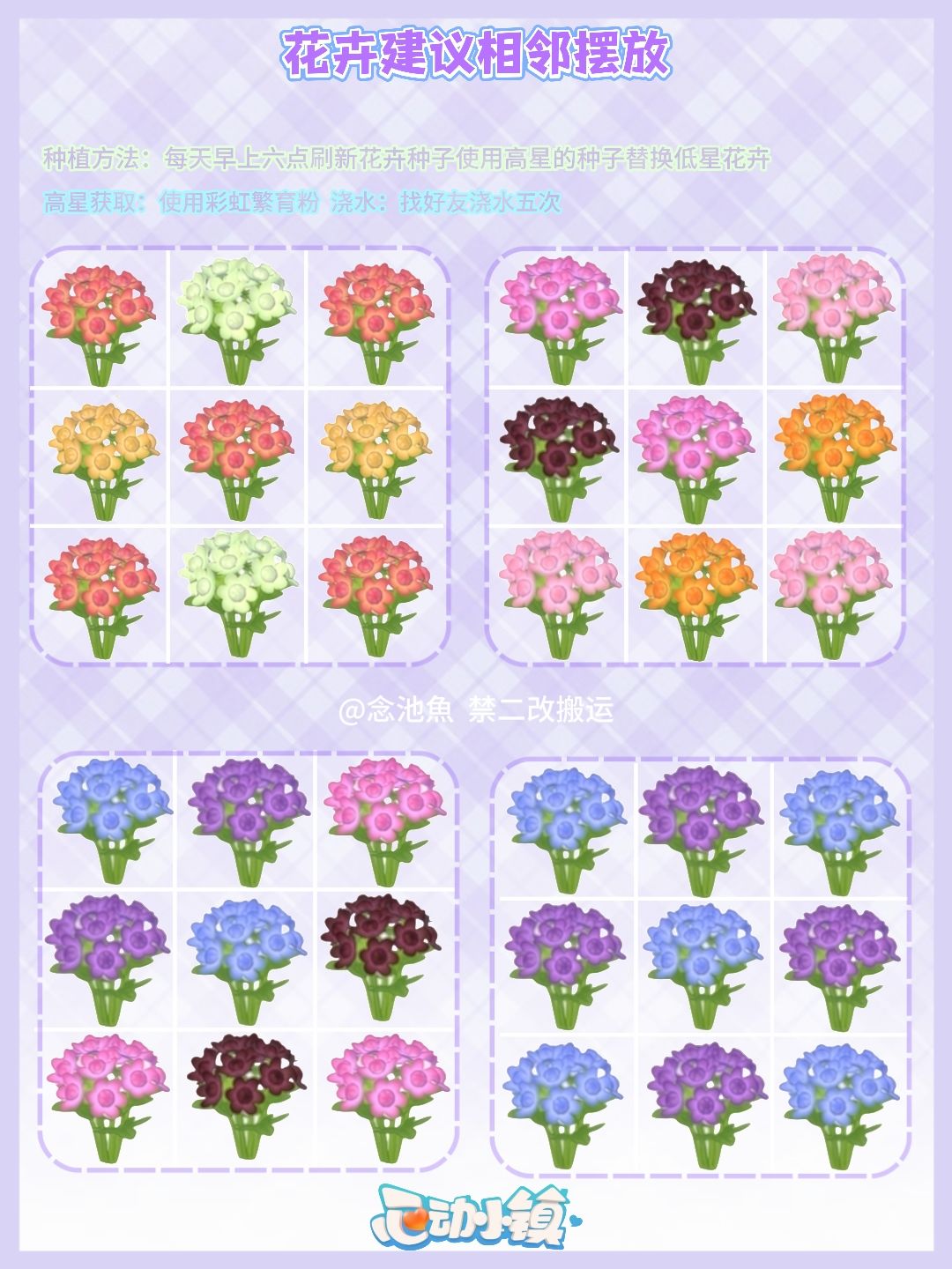 庆典·引星河【星芹花杂交培育攻略】 3