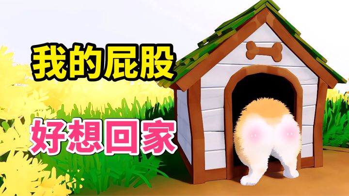 当我对自己的皮鼓产生误判...【我的小柯基】截图