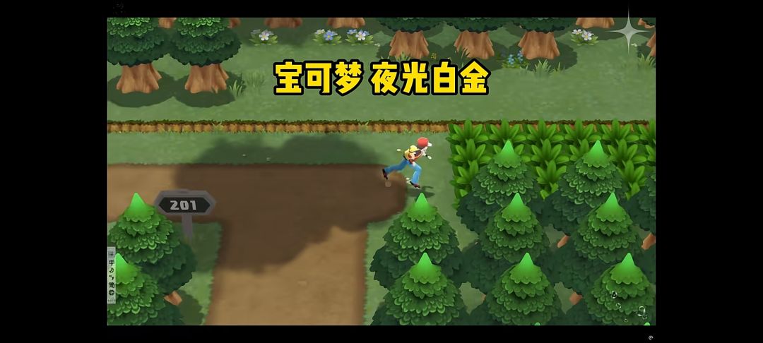 【宝可梦夜光白金】手机版 1