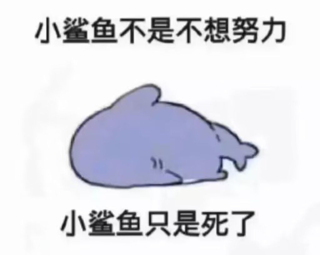 好难啊好难啊! 1
