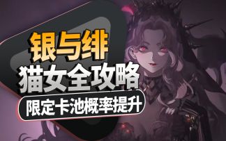 【银与绯】想要玩好达尔卡罗 一个视频就够了！教你角色月相技能~
