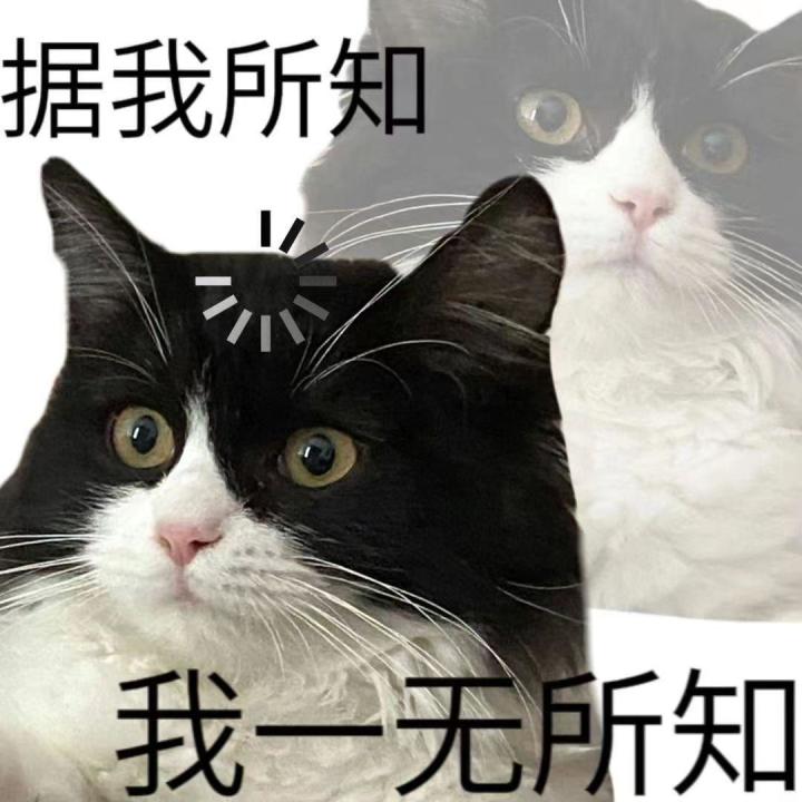 新人物呢?更新呢?截图