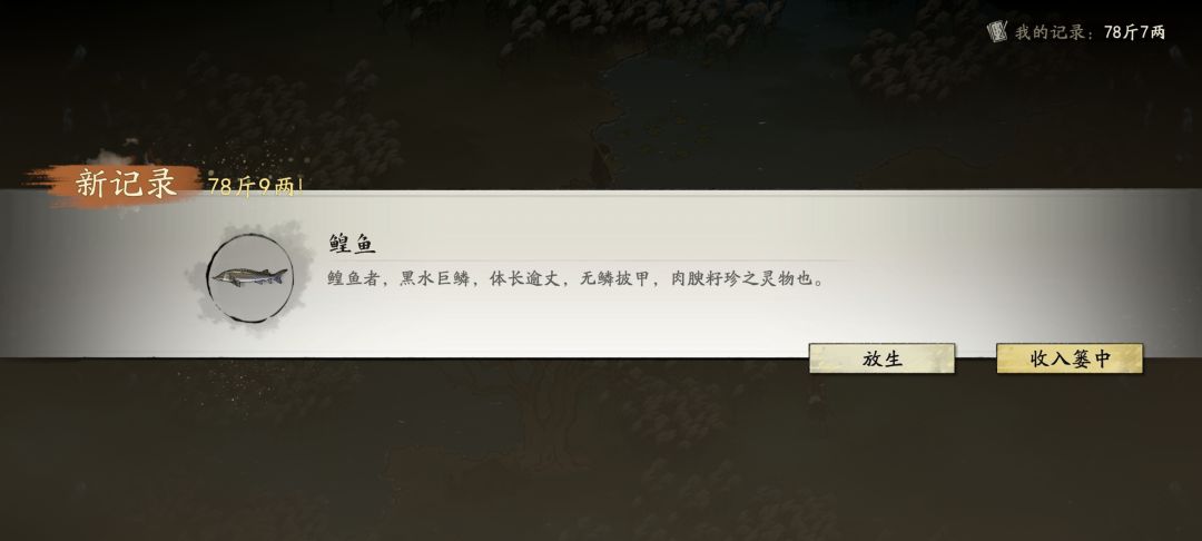 78斤9两! 1