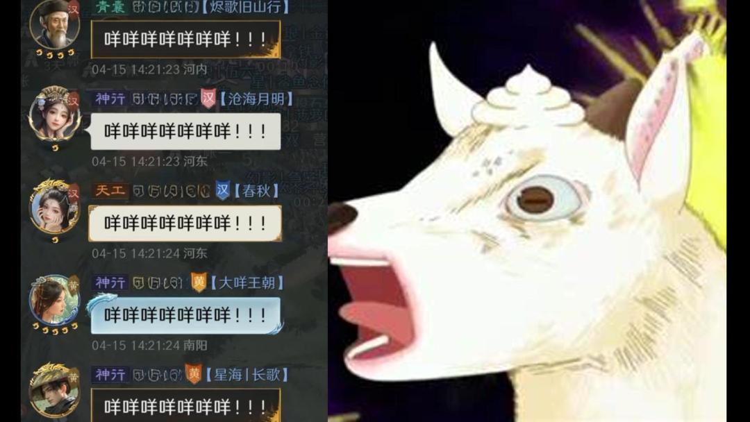 video-4881146