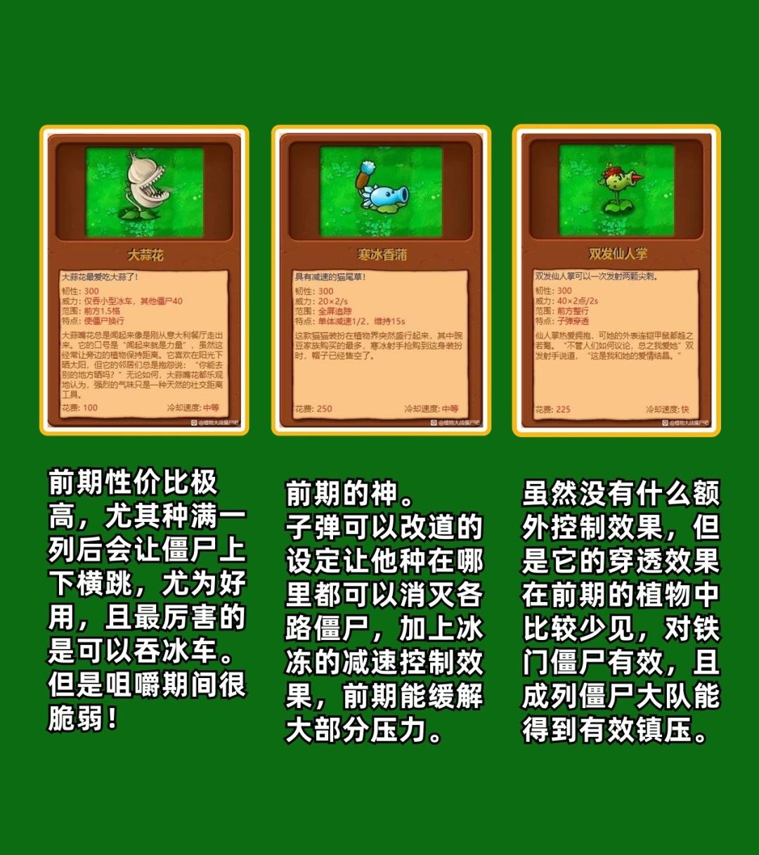 戴夫看了就得叫哥!盘点杂交版强力植物! 3