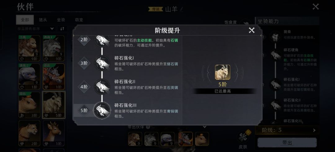 今日收获 3