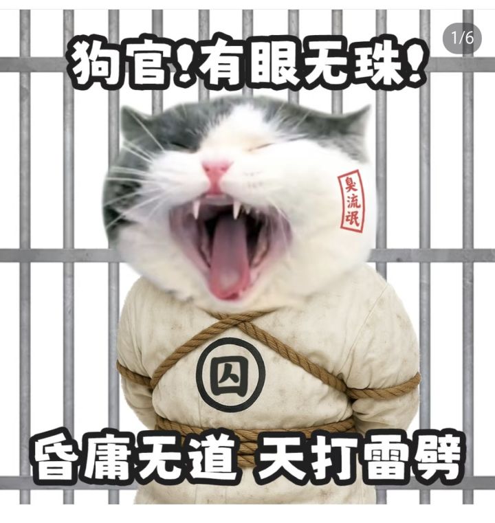 奇点时代2025国庆新海擂台超简要攻略截图