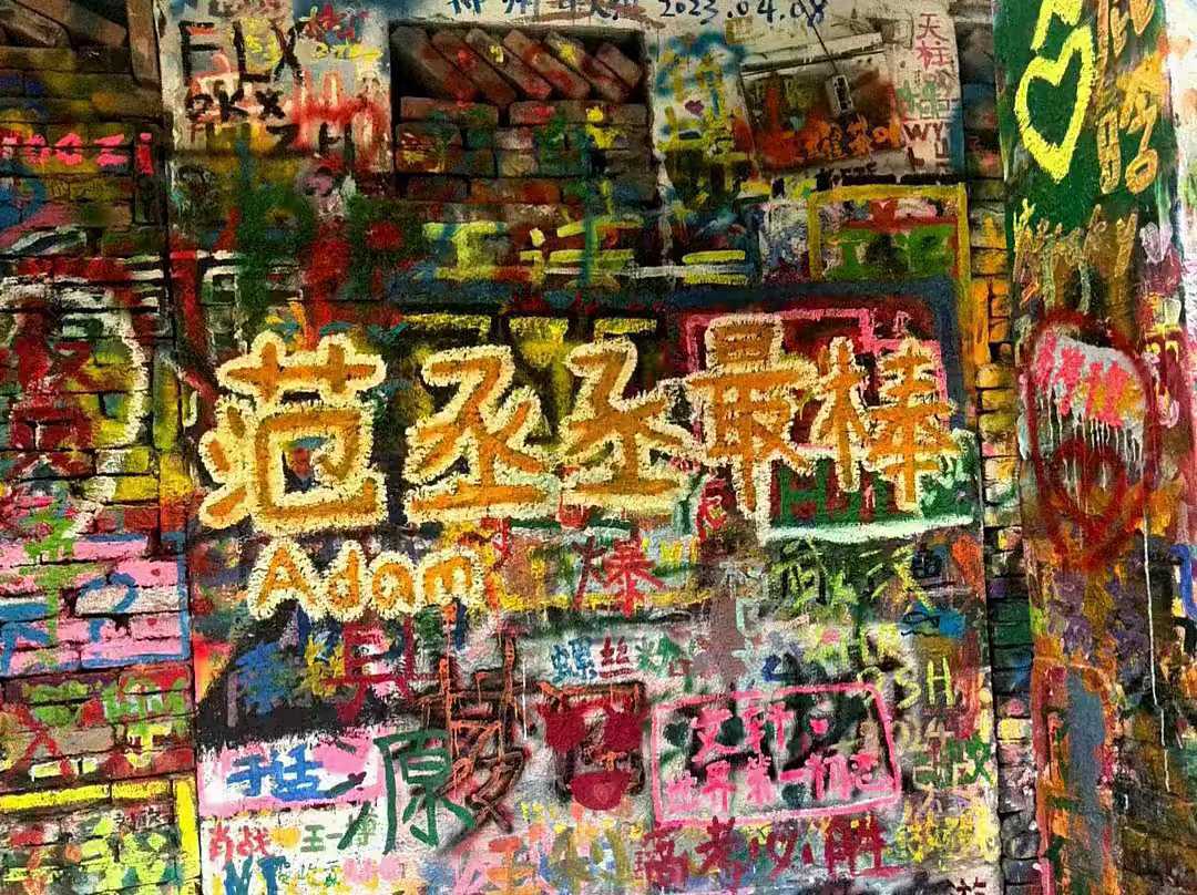 动态图片 9