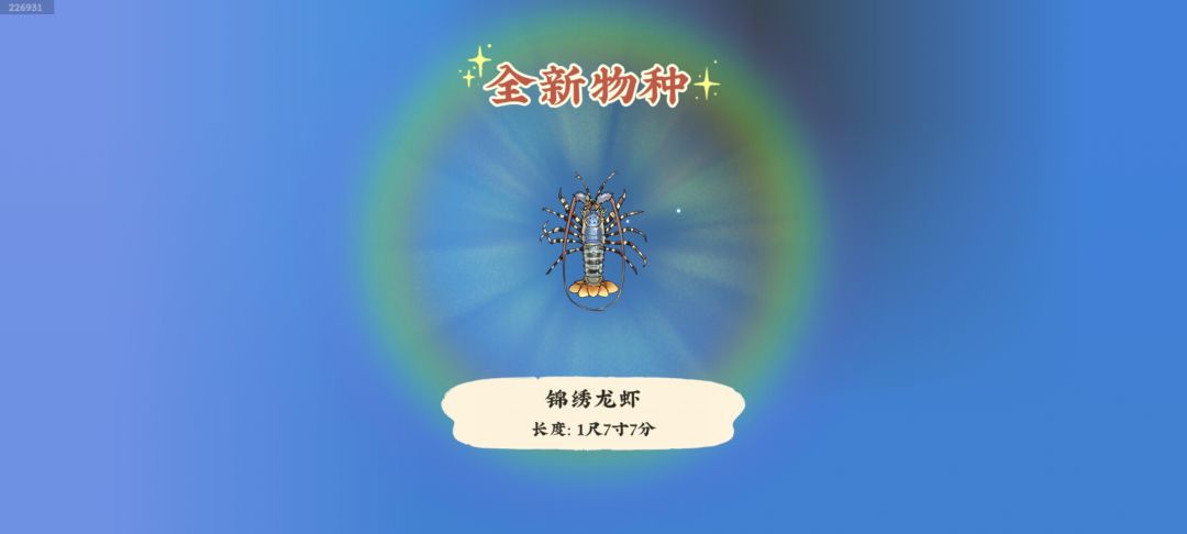 锦绣龙虾 2
